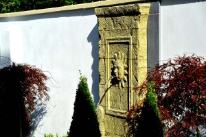 Ballincollig Back Garden Design 8