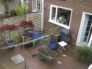 Cross Douglas Road Garden Design 3