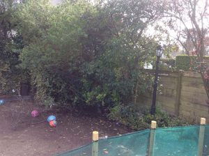 Douglas Garden Design 2