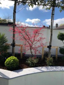 Douglas Garden Design 8