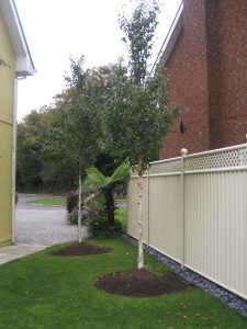 Frankfield Garden Design 10