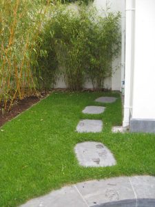 Glasheen Back Garden Design 6