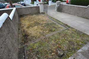 Glasheen Front Garden Design 2