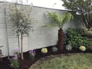 Kilworth Garden Design 7