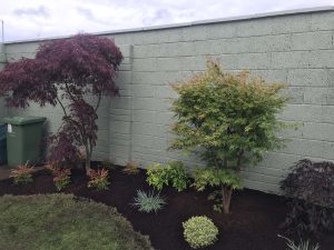 Kilworth Garden Design 8